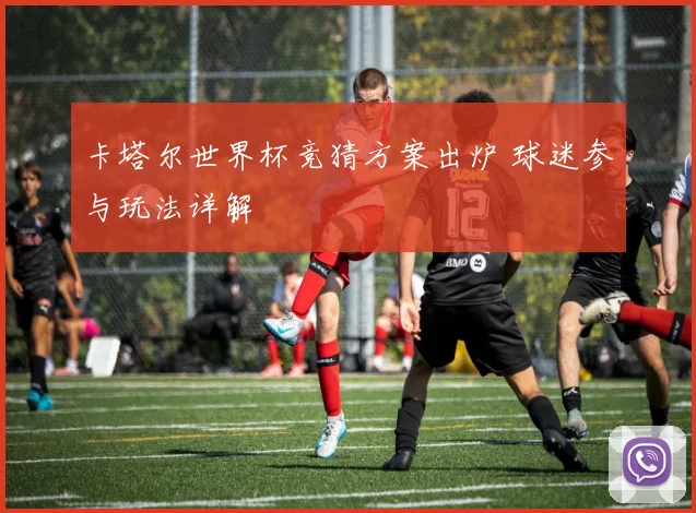卡塔尔世界杯竞猜方案出炉 球迷参与玩法详解