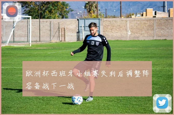 欧洲杯西班牙小组赛失利后调整阵容备战下一战